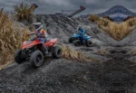 Квадроцикл CFMOTO CFORCE 110 110cc (Інжектор, Автомат, Дитячий) - Зображення 14